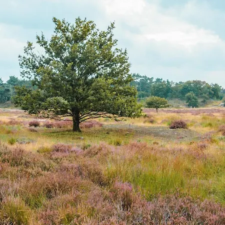 De Slapende Hollander Kaatsheuvel