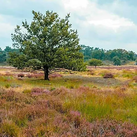 De Slapende Hollander 3* Kaatsheuvel